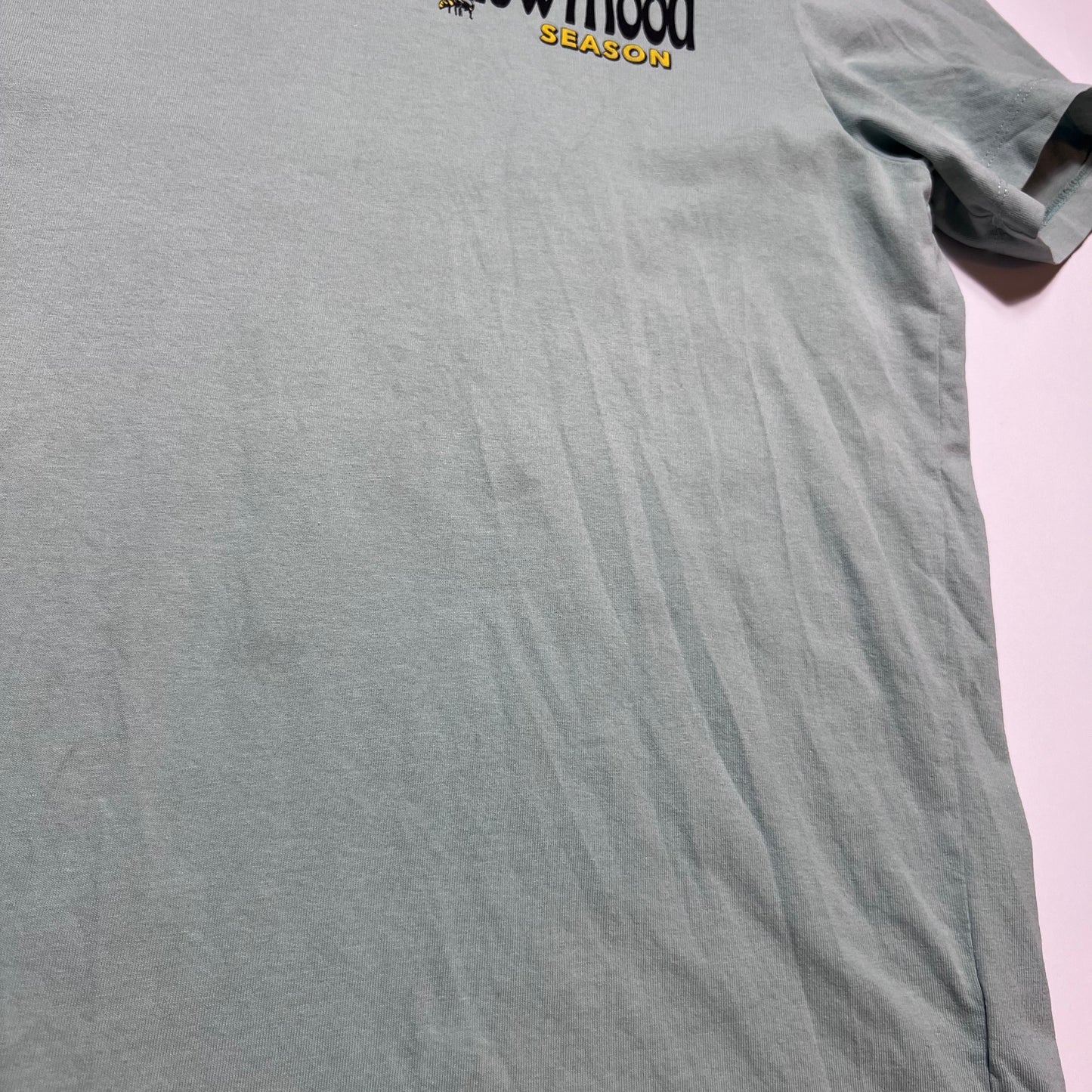 Bershka Yellow Mood Mint Green T-Shirt M - Cats on Stacks VNTG