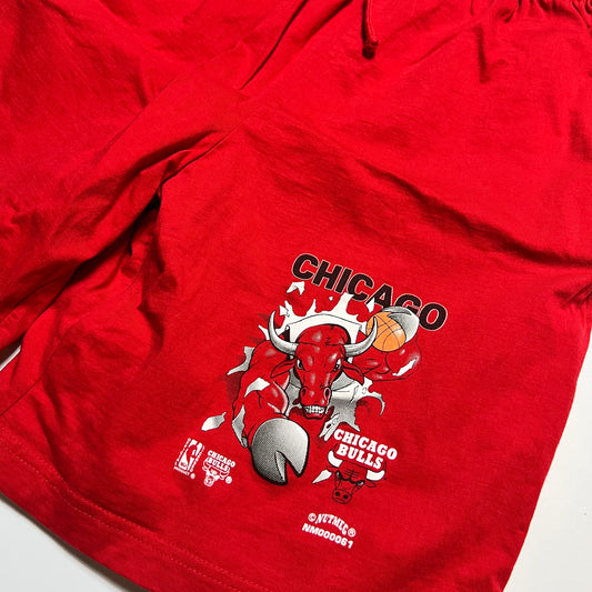 Nutmeg Chicago Bulls NBA Vintage 90s Shorts rot XL - Cats on Stacks VNTG