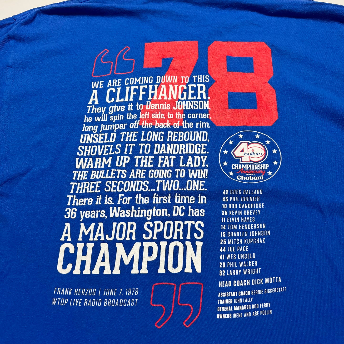 Vintage NBA 40 Bullets 1978 Anniversary T-Shirt L - Cats on Stacks VNTG