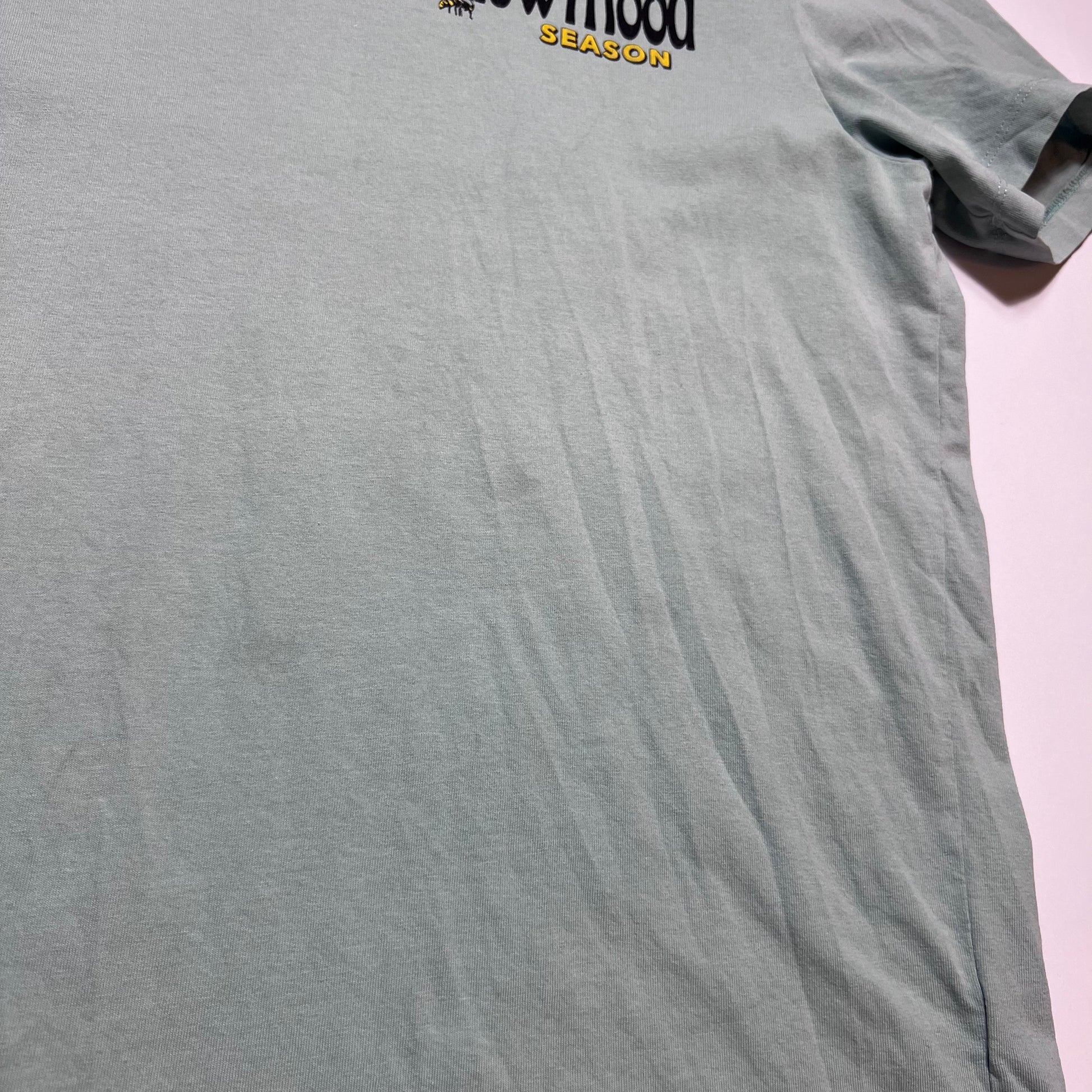 Bershka Yellow Mood Mint Green T-Shirt M - Cats on Stacks VNTG