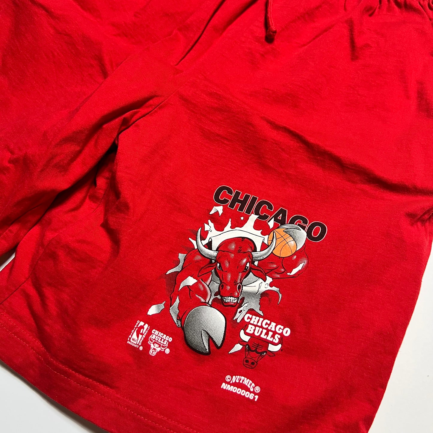 Nutmeg Chicago Bulls NBA Vintage 90s Shorts rot XL